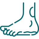 LIGAMENTS